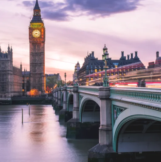 Oyak Global Risk Services